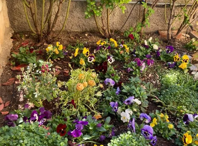 Apartment Civico 93 *