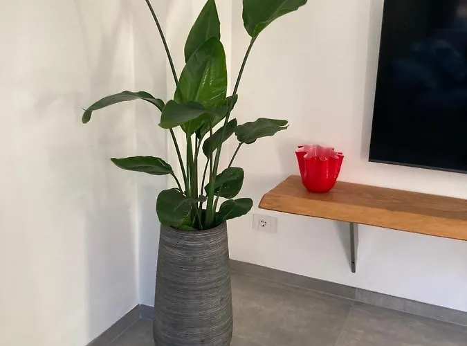 Civico 93 Apartment Malcesine