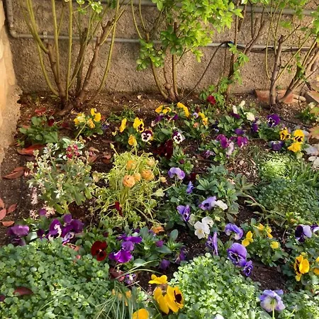 Appartamento Civico 93 *